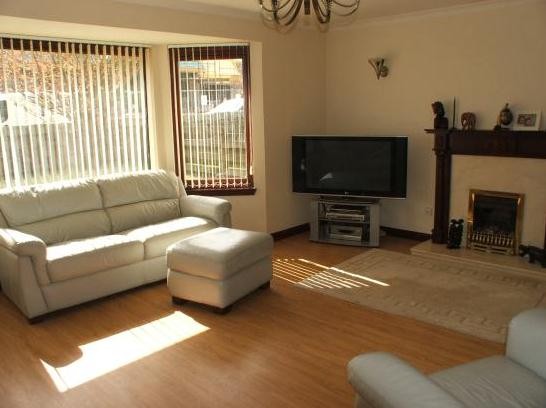 Laminates & Wooden Floors | Sneyd Carpet